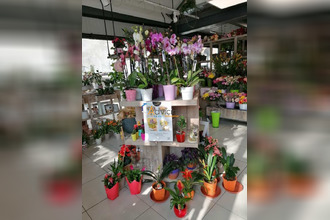  boutique dun-sur-auron 18130