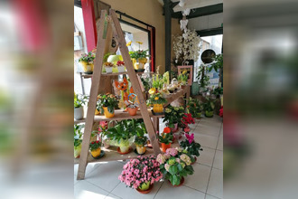  boutique dun-sur-auron 18130