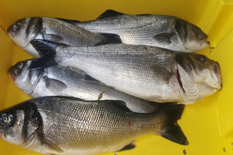  boutique guilvinec 29730