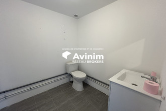  boutique la-salvetat-st-gilles 31880