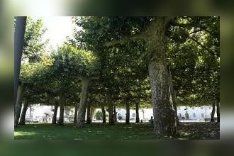  boutique labouheyre 40210