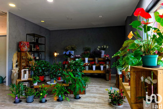  boutique le-cannet-des-maures 83340