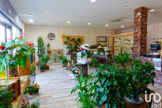  boutique le-cannet-des-maures 83340