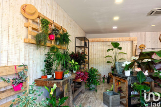  boutique le-cannet-des-maures 83340