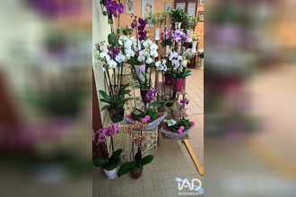  boutique lons-le-saunier 39000