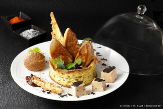  boutique lucon 85400