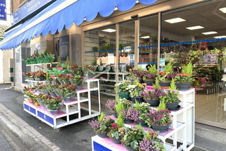  boutique maubeuge 59600