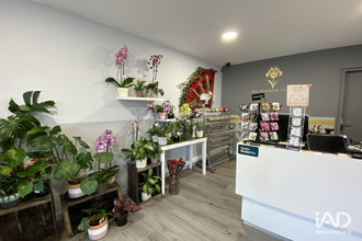  boutique mt-de-marsan 40000