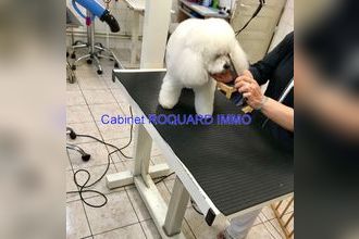  boutique mtgeron 91230