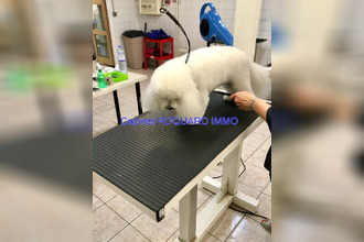  boutique mtgeron 91230