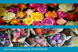  boutique mtigny-en-ostrevent 59182