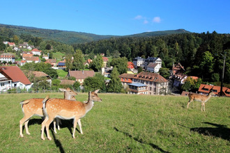  boutique obernai 67210