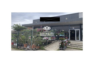  boutique orange 84100