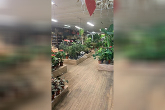  boutique orange 84100