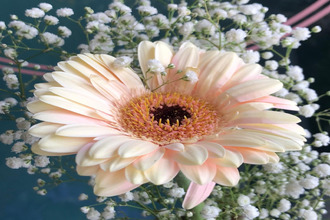  boutique paris 75012