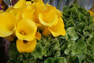  boutique paris 75012