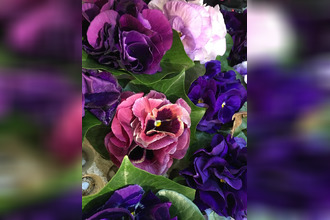  boutique paris 75014