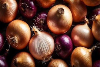  boutique poissy 78300