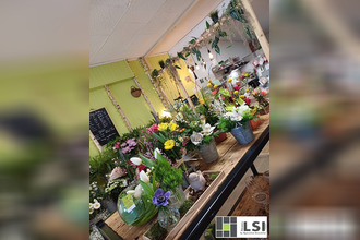  boutique pont-sur-sambre 59138