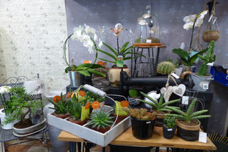  boutique quimperle 29300