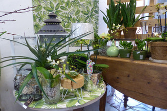  boutique quimperle 29300