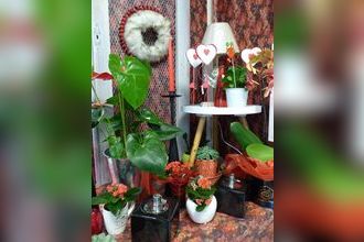  boutique quimperle 29300