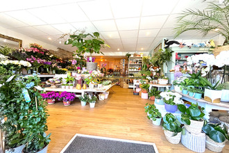  boutique roscoff 29680