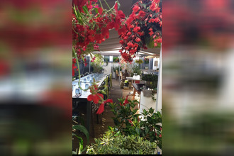  boutique royan 17200