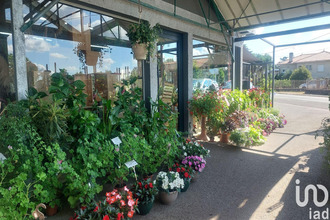  boutique st-magne-de-castillon 33350