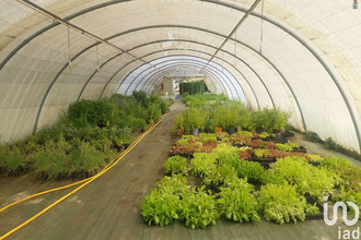  boutique st-magne-de-castillon 33350