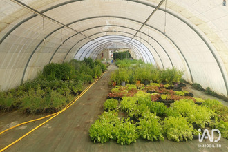  boutique st-magne-de-castillon 33350