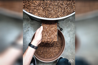  boutique st-martin-de-re 17410