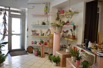  boutique st-pons-de-thomieres 34220