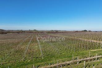  boutique st-yzans-de-medoc 33340