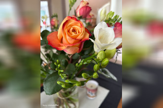  boutique sucy-en-brie 94370