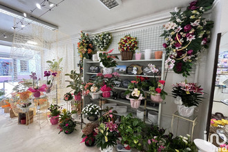  boutique tarascon-sur-ariege 09400