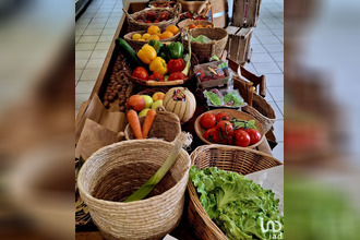  boutique tarbes 65000