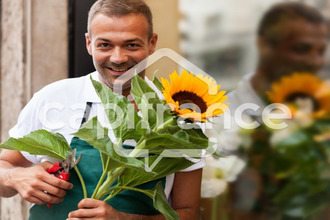  boutique toulouse 31000