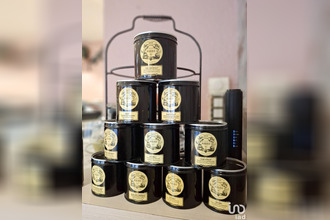  boutique tours 37000