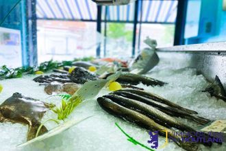  boutique wormhout 59470