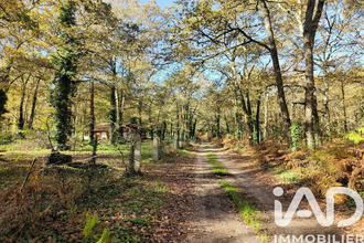  divers barbaste 47230