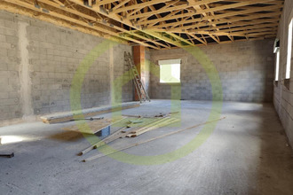  divers bastelicaccia 20129