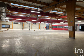  divers berd-huis 61340