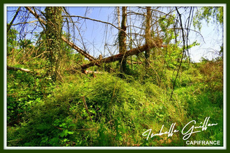  divers chateaumeillant 18370