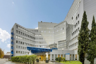  divers colombes 92700