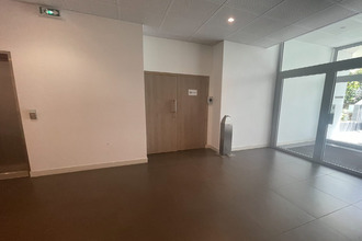  divers colombes 92700