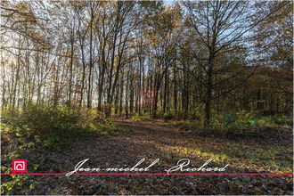  divers courmemin 41230