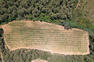  divers creissan 34370