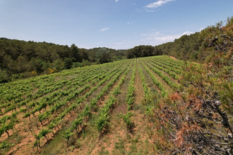  divers creissan 34370