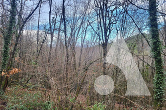  divers entrecasteaux 83570